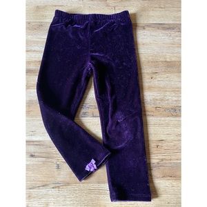 Velvet pants
